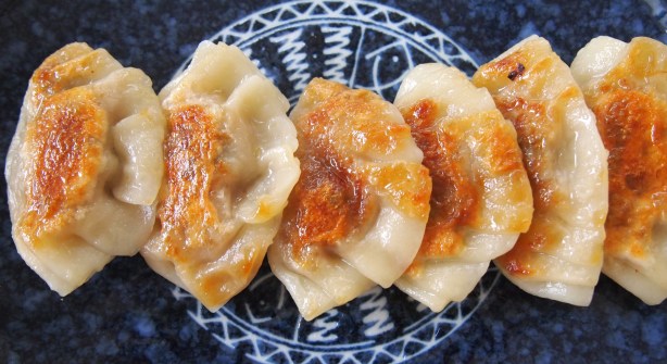 Gyoza 