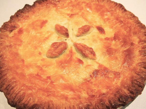 Beef & Red Wine Pie with Sour Cream Pastry