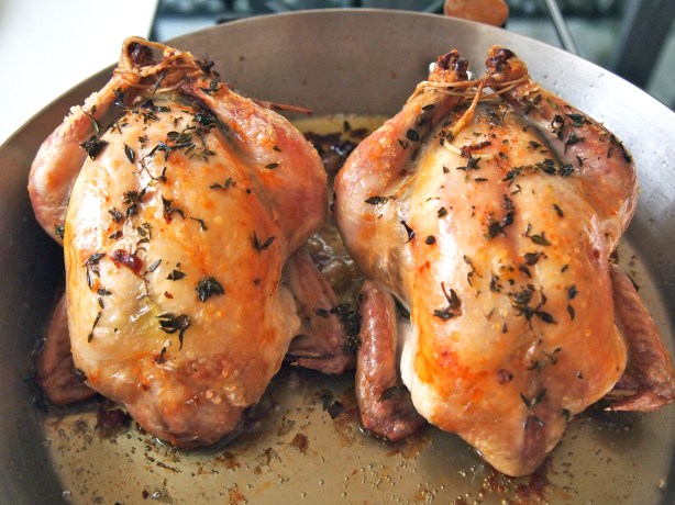 Christmas Turkey Alternative - Roast Spatchcocks with Mushroom & Sage Stuffing