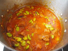Indian Lamb & Broad Bean Curry