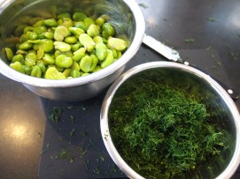 Dill & Fava Beans for Baghali Polow