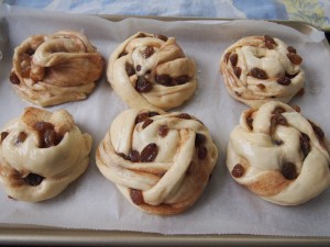 Cinnamon Raisin Buns using Asian Milk Bread Dough